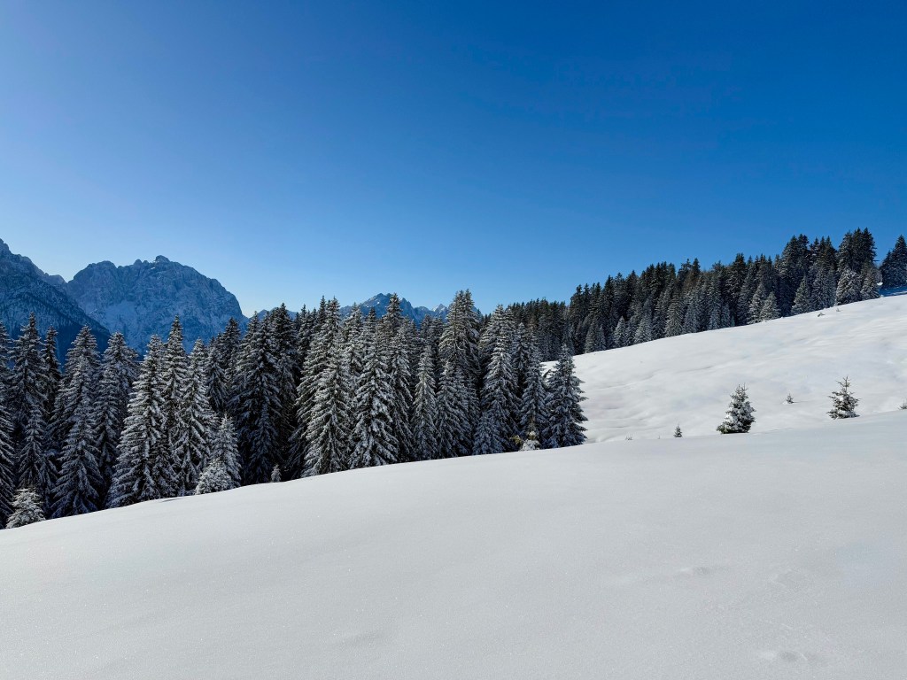 A Beautiful Winter Day Hiking Vošca in&nbsp;December