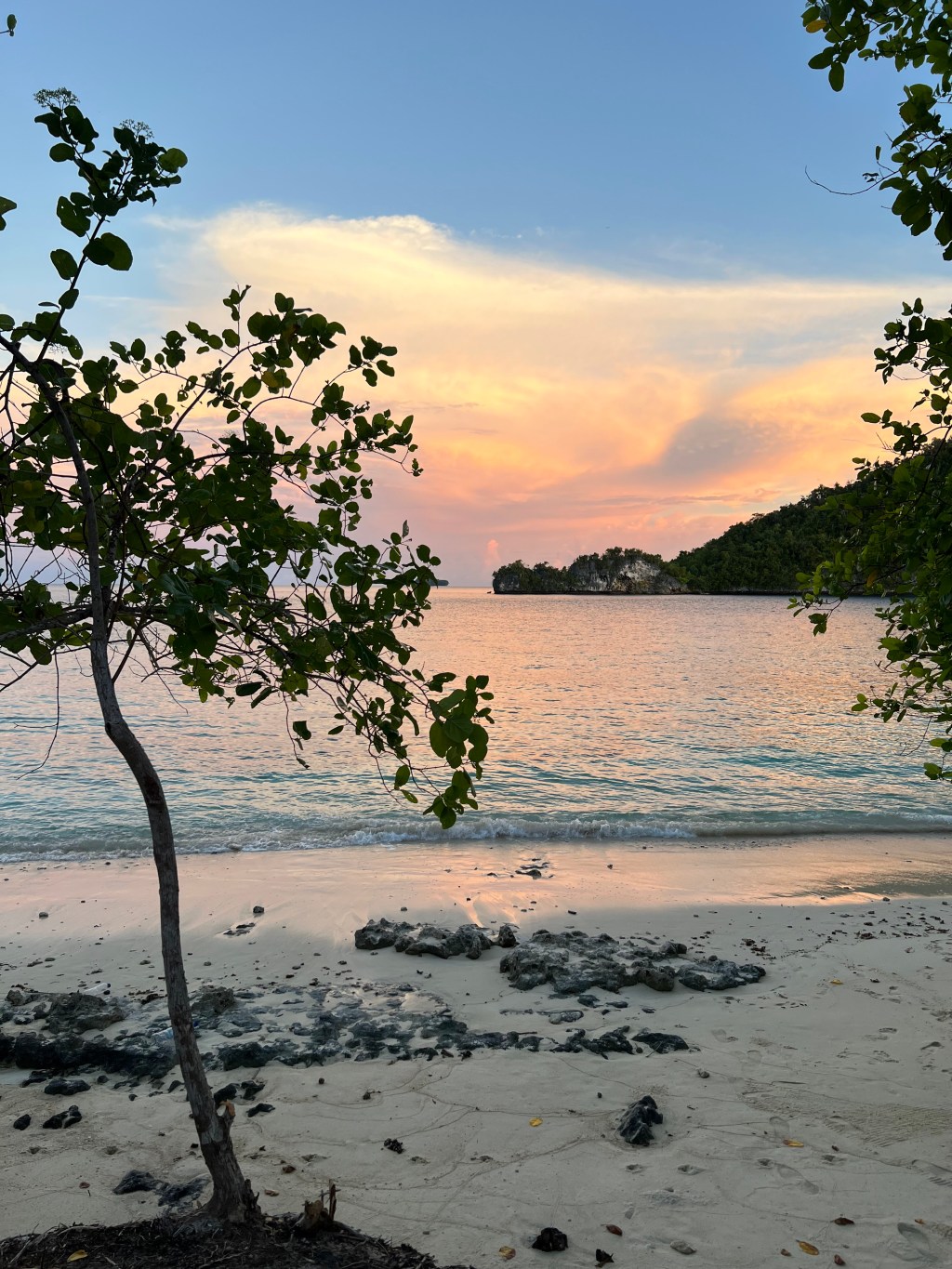 My First Diving Experience in Picturesque Raja&nbsp;Ampat